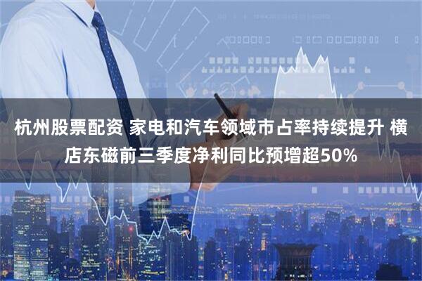 杭州股票配资 家电和汽车领域市占率持续提升 横店东磁前三季度净利同比预增超50%